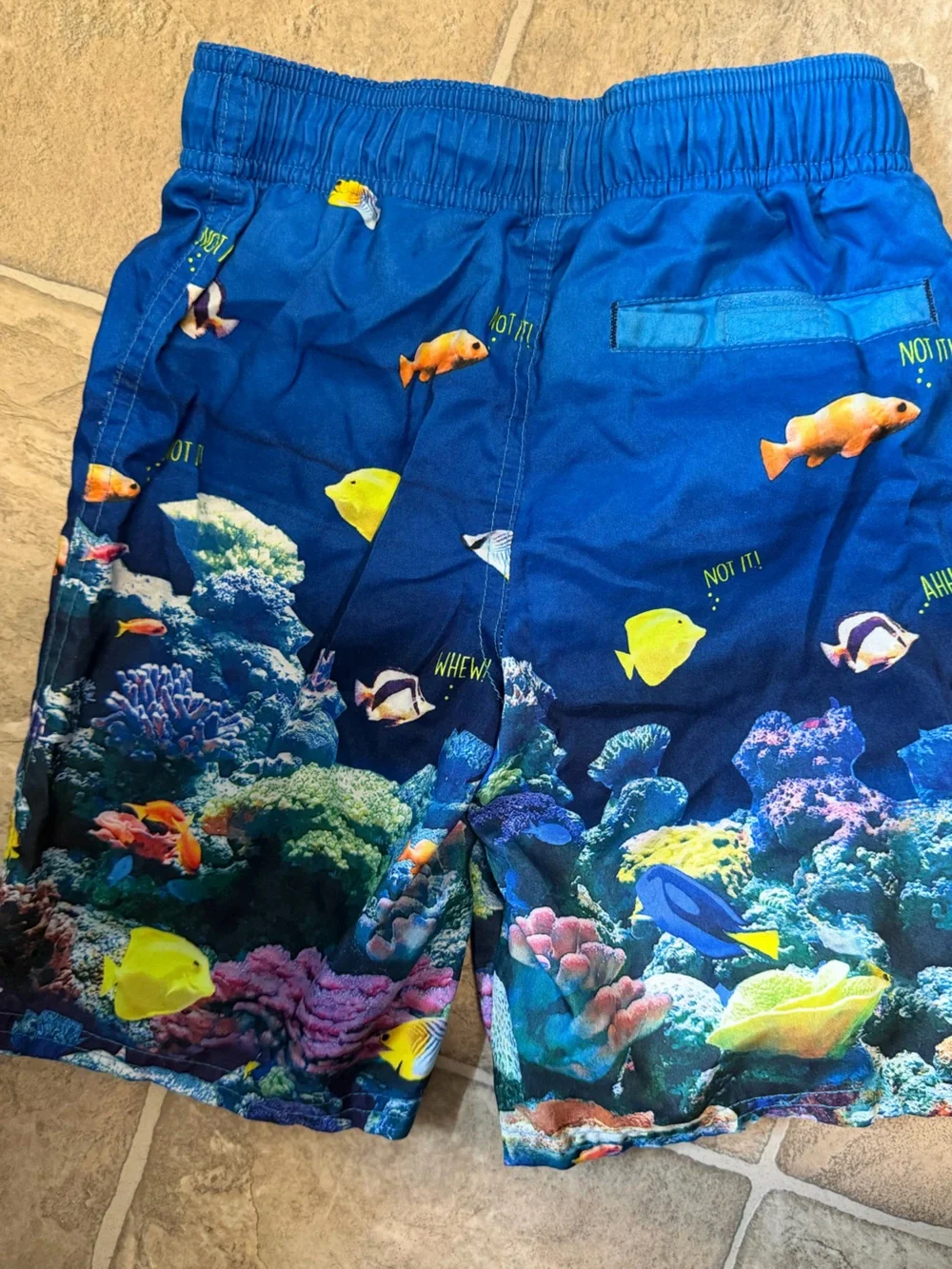 Cat & Jack Boy’s Blue Ocean Life Swim Shorts